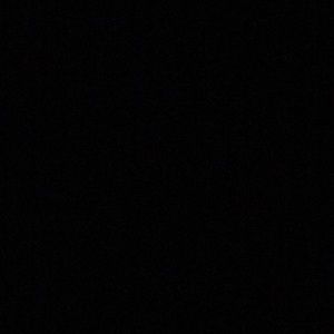 Meet your Posher, Gianna